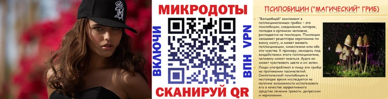 Купить закладки  Чухлома  Псилоцибиновые грибы Psilocybe 